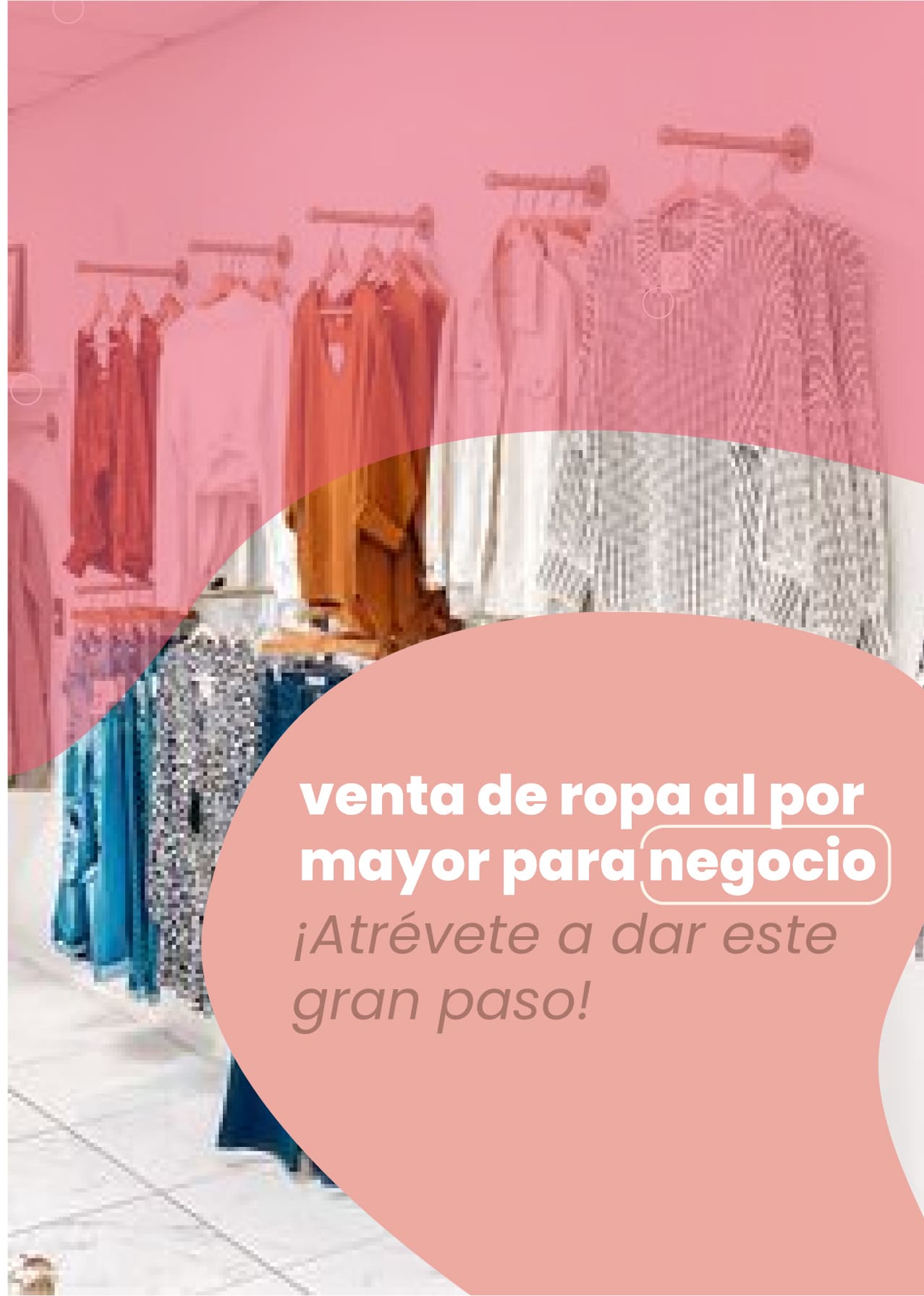 Networking en carolina del sur