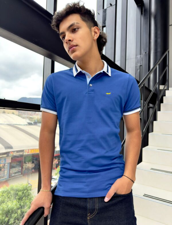 Camiseta en cuello polo con lineas
