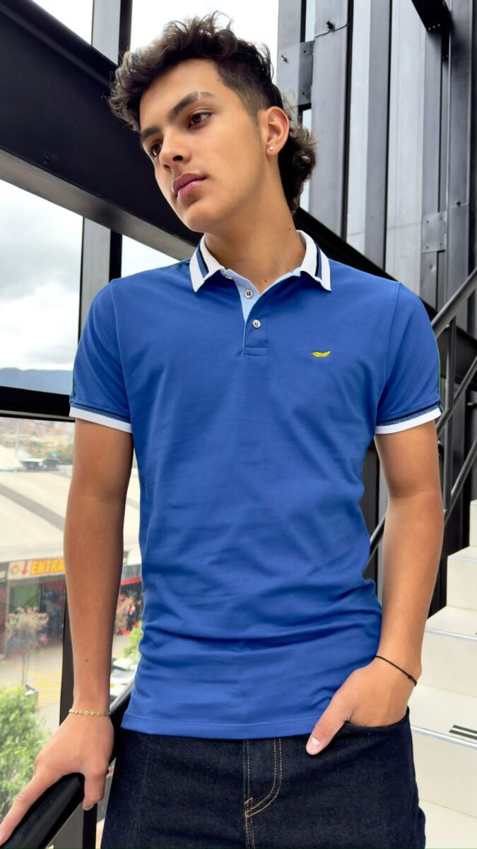 Camiseta en cuello polo con lineas