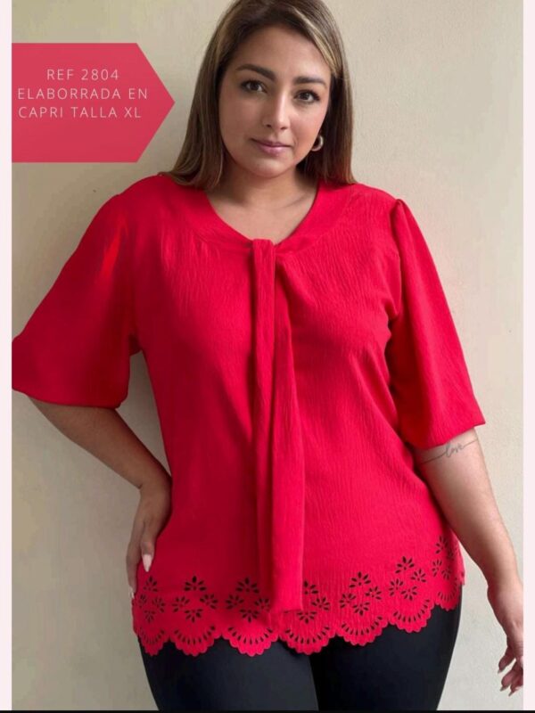Blusa con bordado y lazo decorativo