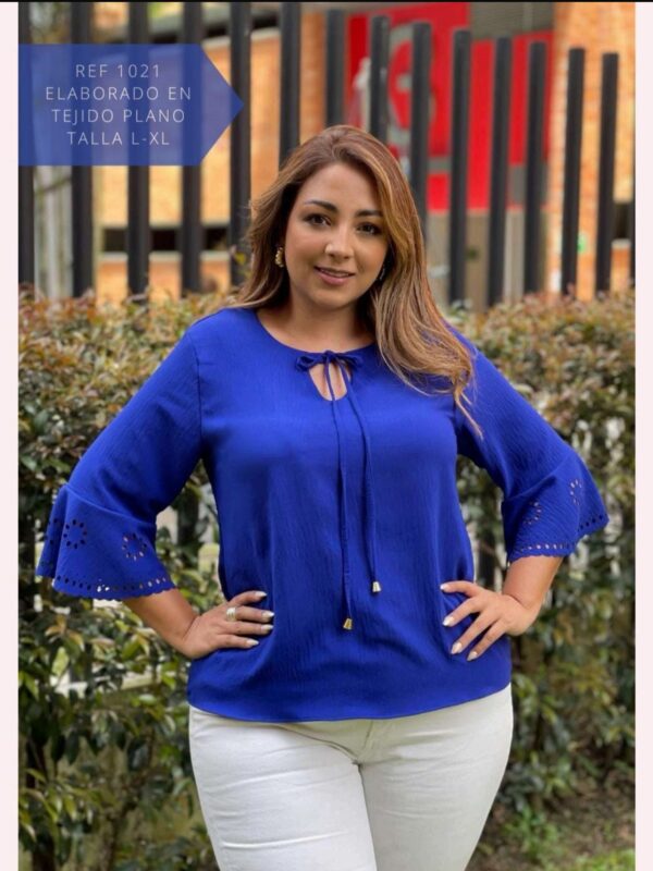 Blusa con bordado en mangas y lazo decorativo